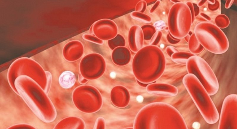 Nguyên nhân dẫn đến bệnh thiếu máu